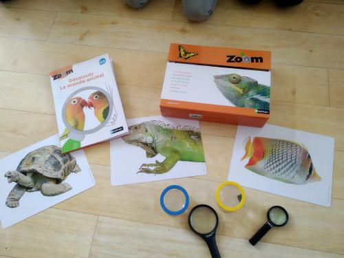 ZOOM découvrir le monde animal en GS