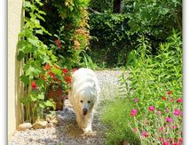 Plaisir du jardin