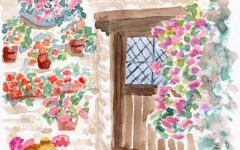 LE PELARGONIUM