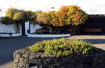 Lanzarote : Tahiche - Fondation César Manrique