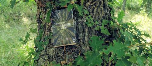 Richard Powers, L'arbre monde, 10-18