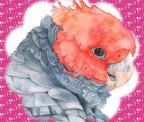 Dessin et peinture - vidéo 3064 : Comment peindre un perroquet coloré 1/3 (Cacatoès à tête rouge) ? - aquarelle et autres techniques.