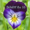  1 er blog Bébert