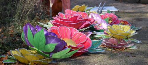 fleurs géantes