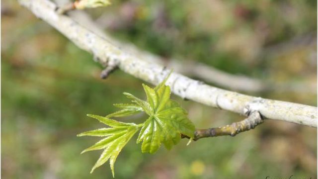 Et hop, au jardin !