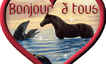 UNE VIDEO SUR NOS PETIT AMIS