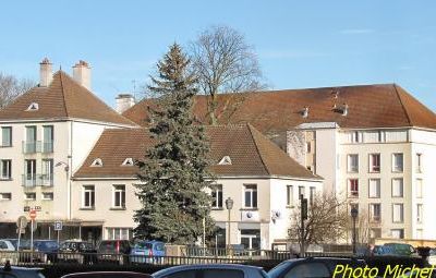 Un hêtre magnifique à Châtillon sur Seine...