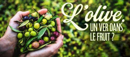 L'olive, un ver dans le fruit ?