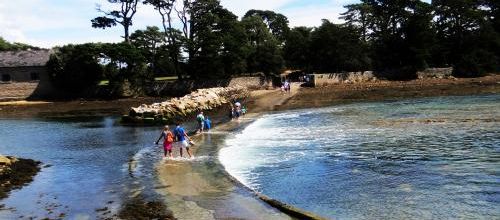 Délice de l'île Berder (Golfe du Morbihan)