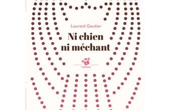 Albums lus : Ni chien ni méchant, de Laurent Gauthier, Editions Thierry Magnier