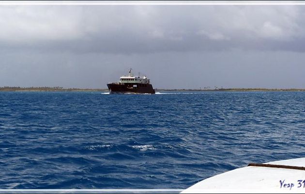 Rencontre avec le Cobia 3, le cargo d'approvisionnement des certaines îles polynésiennes dont l'atoll Fakarava - Polynésie française