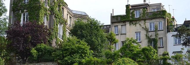 Les vignes de Montmartre