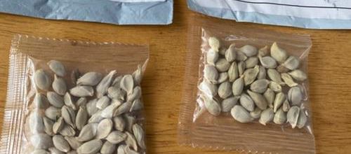 Alerte à de mystérieuses graines chinoises
