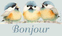 MANGEOIRES A OISEAUX A REALISER