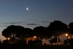 Croissant de Lune 