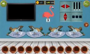 8B Track down the running flamingo soluce