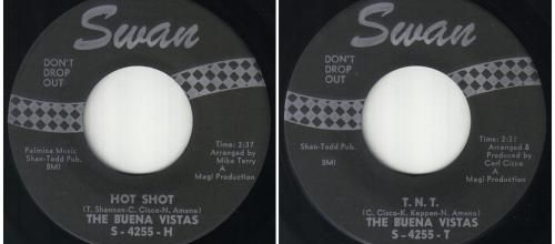 THE BUENA VISTAS - Complete Recording