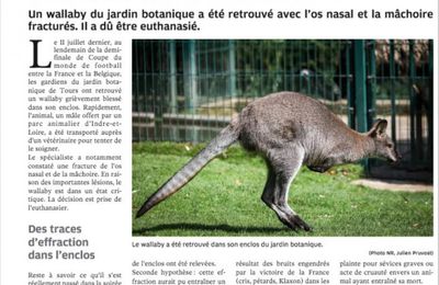 QU'EST-IL ARRIVE AU WALLABY JARDIN BOTANIQUE TOURS