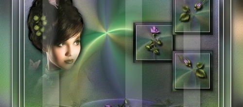 Retrouver les filtres utilisés
