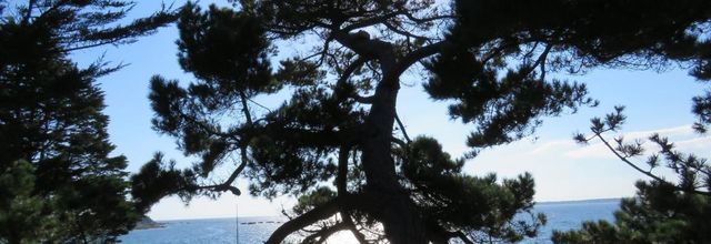 un coucher de soleil 