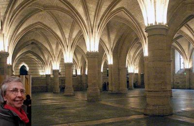 ☻ Découverte de l'installation de Théo Mercier à la Conciergerie