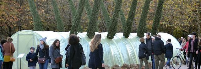 Jardin des Tuileries : FIAC 2017 : "Serre Cyprès Florence" Patrick Saytour (1987)