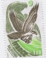 Rapace diurne : le Balbuzard Pêcheur - 1978 et 2012
