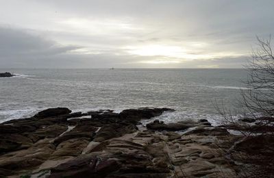 Dernier jour de janvier sur le sentier côtier de Lomener à Kerroch(Morbihan) (2)