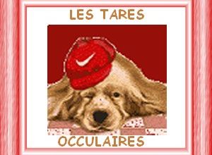 Les maladies héréditaires (2)