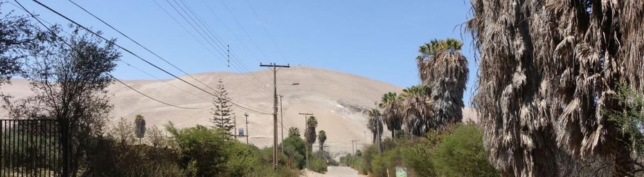 Arica ~ La culture Chinchorro au musée San Miguel de Azapa