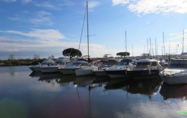 le port du Teich (33)
