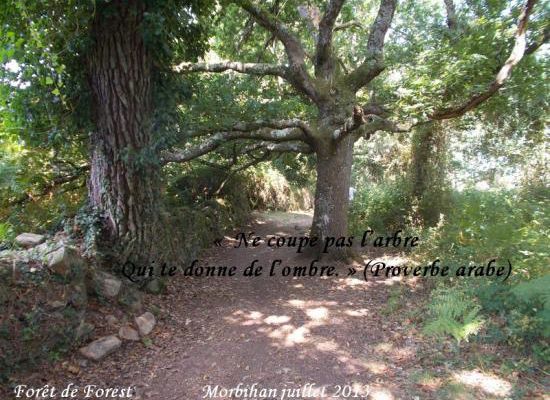 Citations en images : Ne coupe....