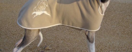 Couverture brodée à l'effigie des Sélénides