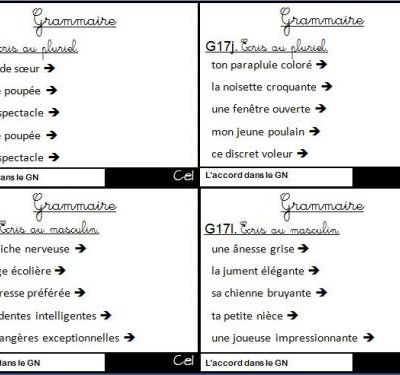 Exercices de grammaire CE1 : voici la fin !