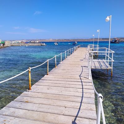 Les petits mérous bruns à Ramla Bay, sur l'île de Malte