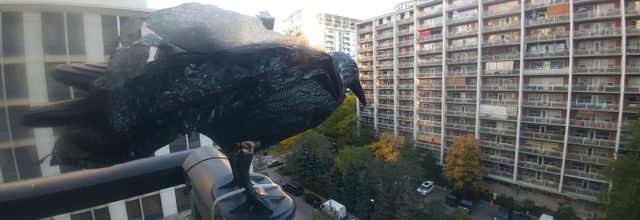 November Break in Toronto: Day Two