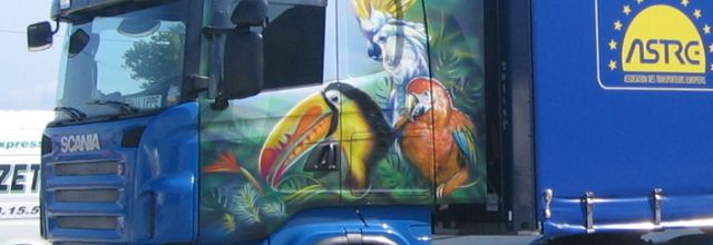 UN CAMION DECORE