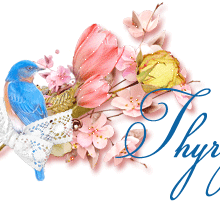 signatureanimee,oiseau bleu