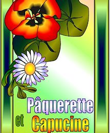 Pâquerette et Capucine