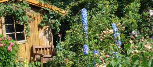 Découvrez le jardin d'André Eve