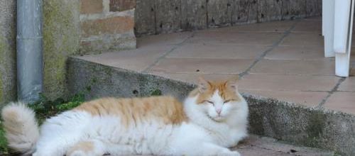 Petit coucou en passant .