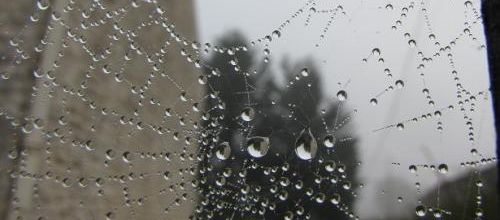 ... quelques gouttes d'eau...!