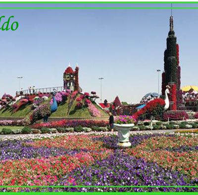 PPS Miracle Garden Dubai