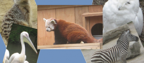 Le zoo de Lille