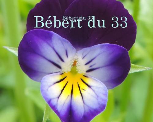Bonnes Vacances à tous et toutes 