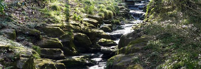 Le parc de la Gaudinière en fin d'hiver