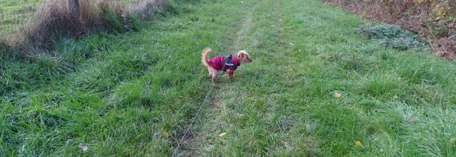 Brrr! il fait froid!