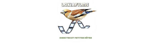 Bienvenue sur Loxiafilms.com