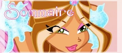 Sommaire