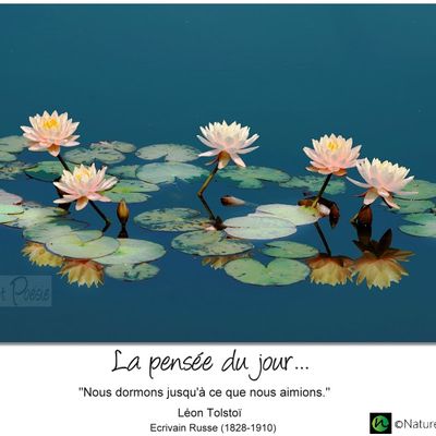 La pensée du jour (222)